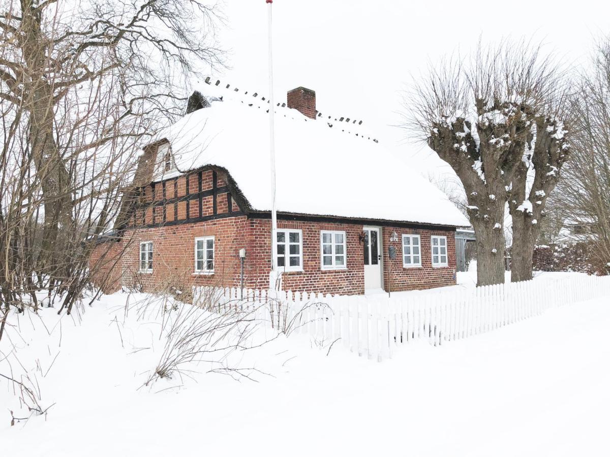 Romantisches Reetdachhaus - Frau Schroeders Mohrkirch 外观 照片